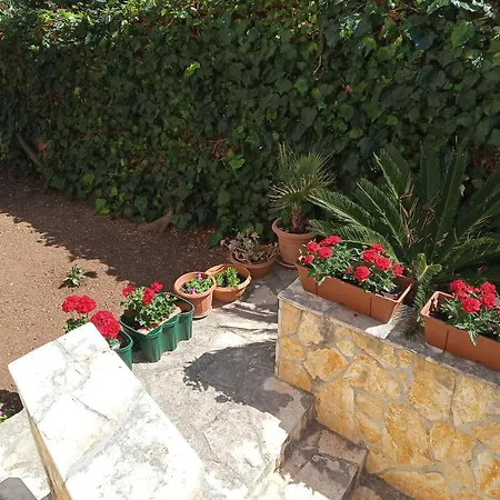 Apartament Mijic *