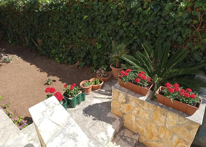 Διαμέρισμα Mijic *